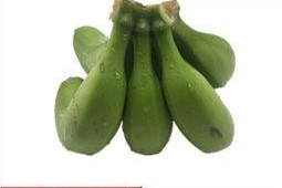 大香蕉国产成人